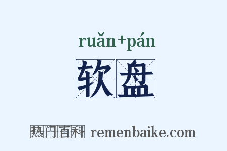 软盘是什么意思的图片